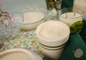 Velas de Soja, aromatizantes en spray y difusores